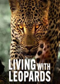 دانلود مستند Living with Leopards 2024400477-1059051733