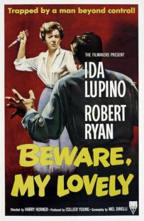 دانلود فیلم Beware, My Lovely 1952420627-1481766835