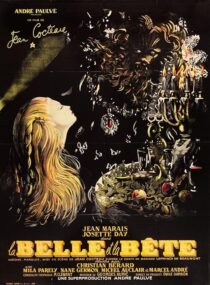 دانلود فیلم Beauty and the Beast 1946426235-1253263786